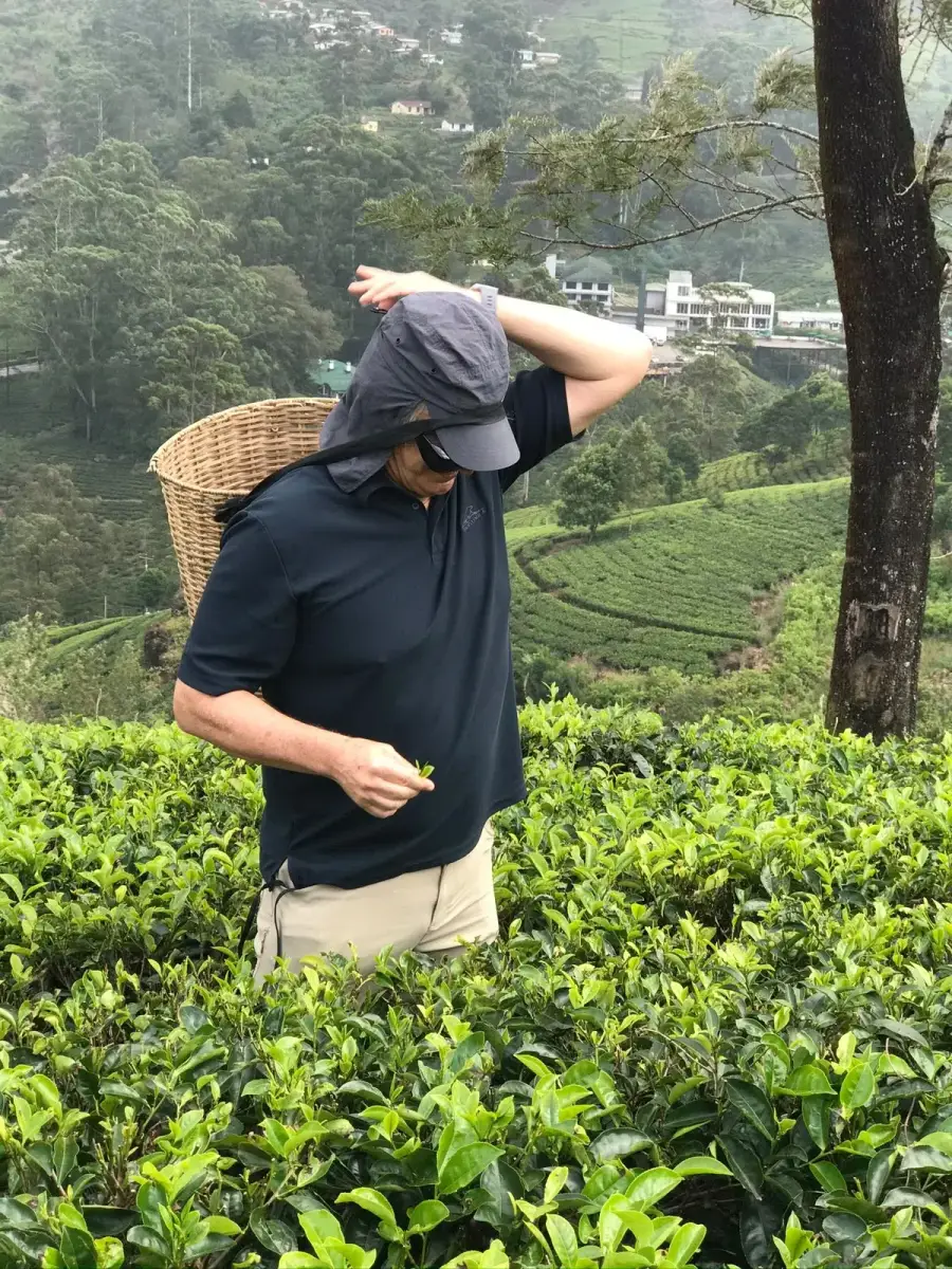 Ceylon Tea Country Hatton & Ella