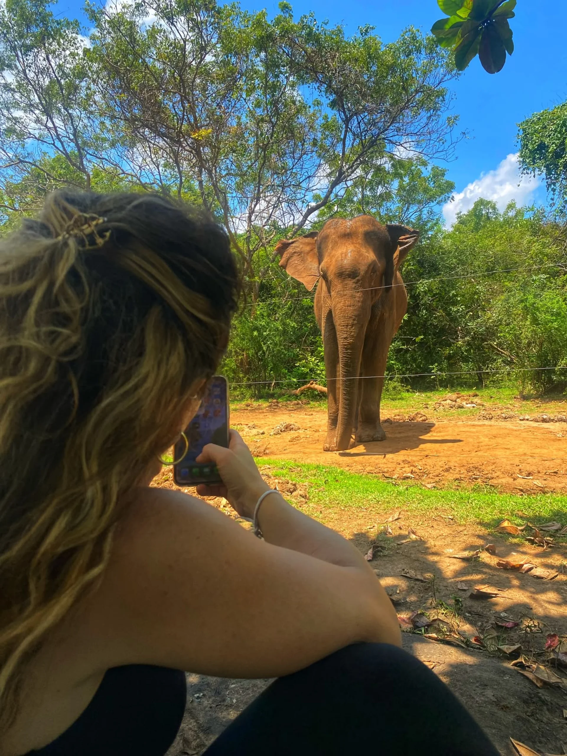 Private Yala Wildlife Safaris & Luxury Southern Riviera Catamaran Cruises
