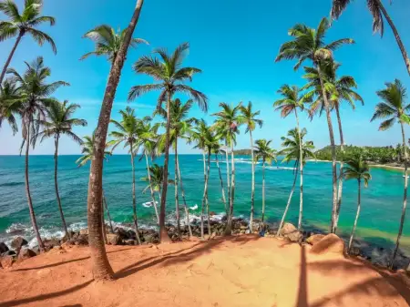 Sailing the Indian Ocean: Private Luxury Catamaran Charters in Mirissa