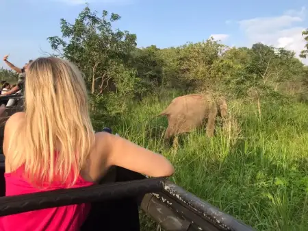 Wild Horizons Safari Yala
